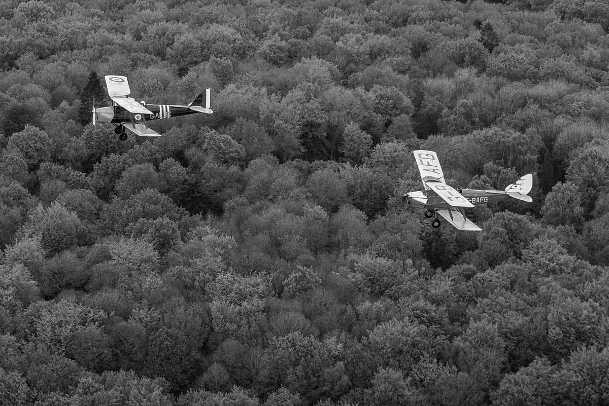 flying-in-formation