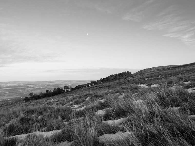 ilkley-moor Ilkley Moor by TJ Blackwell