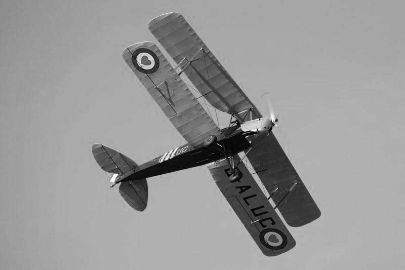 tiger-moth-from-beneath