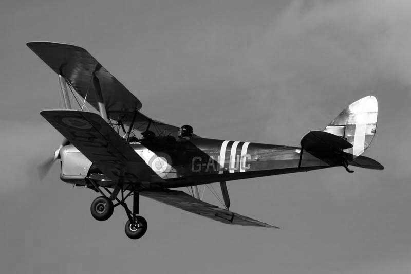 tiger-moth-g-aluc