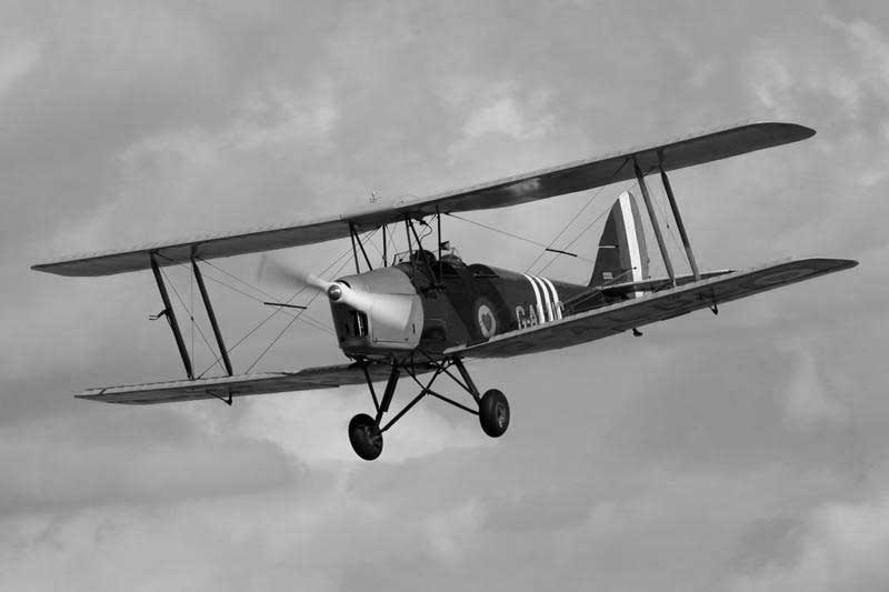 tiger-moth-landing