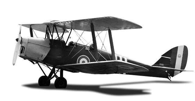 tigermoth-cut-out Tiger Moth on apron